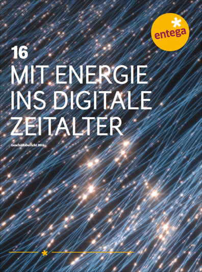 PDF Geschäftsbericht 2016 lang