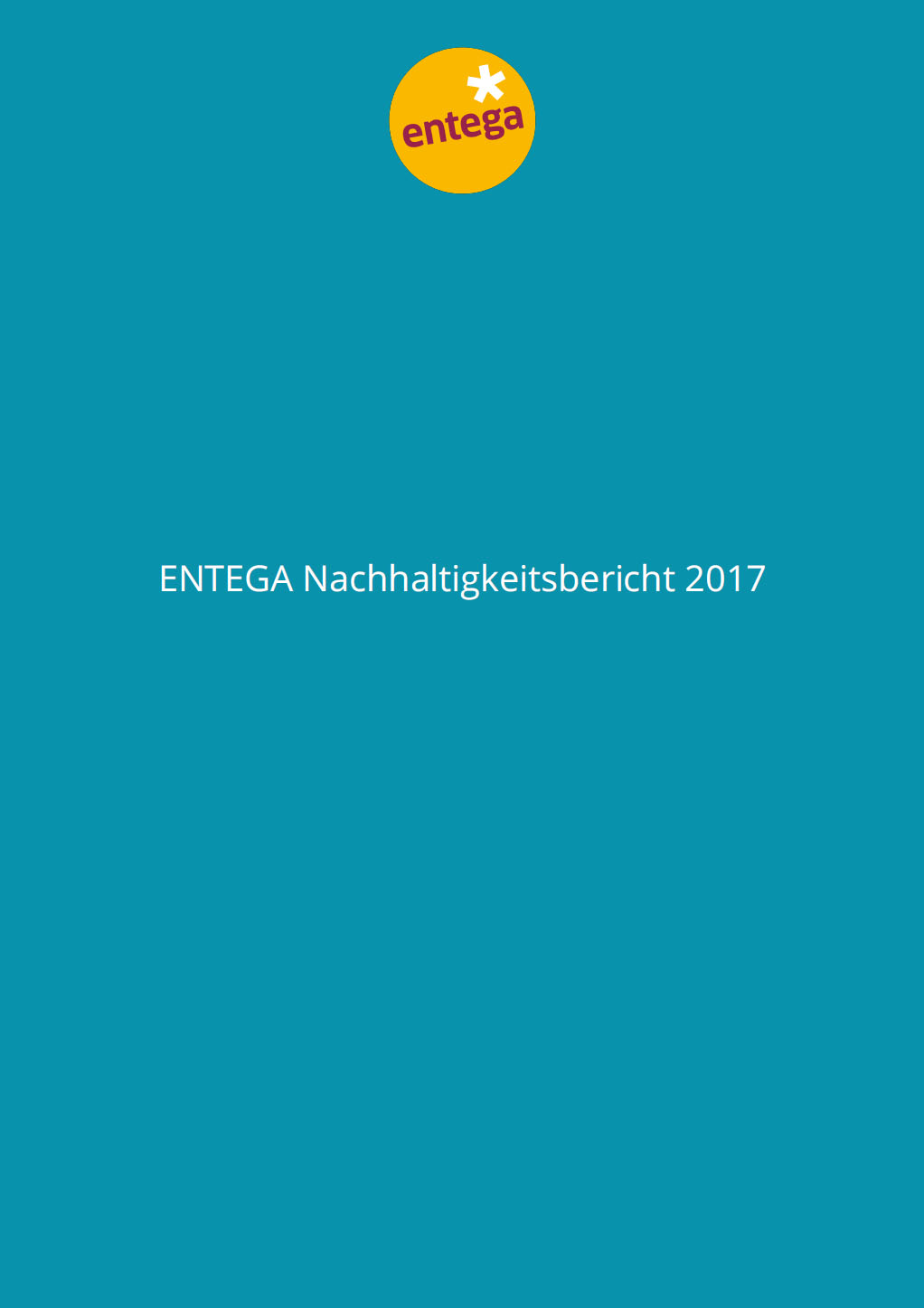PDF Nachhaltigkeitsbericht 2017